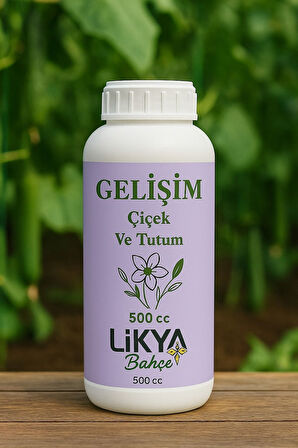 GELİŞİM SEBZE VE MEYVE BİTKİ BESİNİ