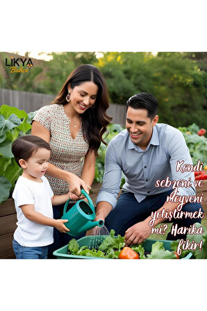 GELİŞİM SEBZE VE MEYVE BİTKİ BESİNİ