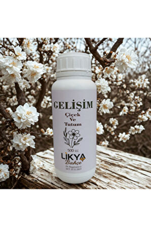 GELİŞİM SEBZE VE MEYVE BİTKİ BESİNİ