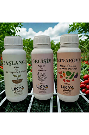 SEBZE VE MEYVE BESİNLERİ SETİ