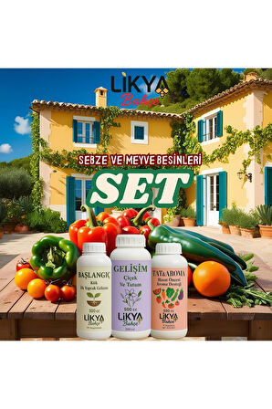 SEBZE VE MEYVE BESİNLERİ SETİ