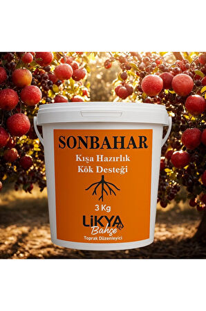 SONBAHAR AĞAÇ BESİNİ