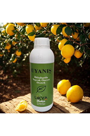 UYANIŞ AĞAÇ BESİNİ