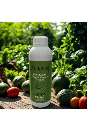 UYANIŞ AĞAÇ BESİNİ