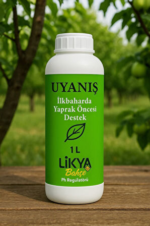 UYANIŞ AĞAÇ BESİNİ