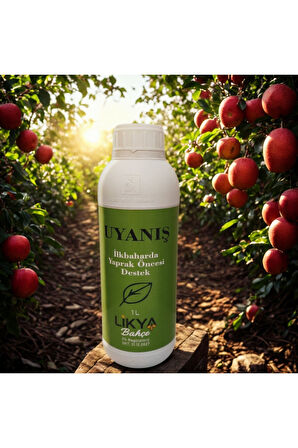 UYANIŞ AĞAÇ BESİNİ