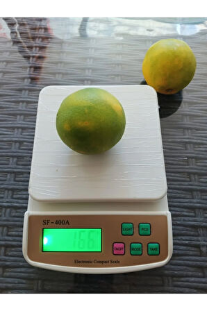 SF400 A HASSAS TERAZİ & MUTFAK TARTISI 10 KG