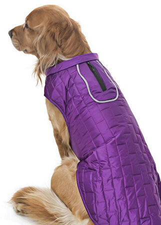 Orta ve Büyük Irk Köpek Mont - Kylo