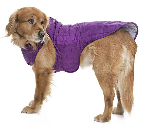 Orta ve Büyük Irk Köpek Mont - Kylo