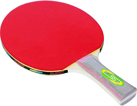 BUSSO BS-2802 HUDSON MASA TENİSİ RAKETİ 2 YILDIZ