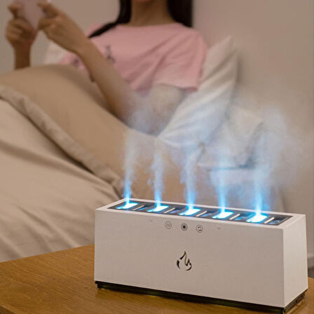 Dinamik Hava Nemlendirici