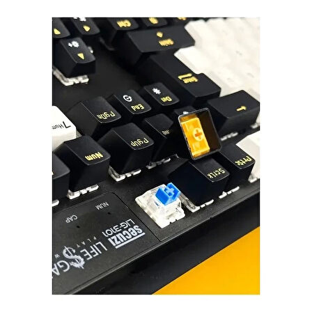Klavye Oyuncu Gaming RGB Mekanik Blue Switch Secuzi LIG-3101