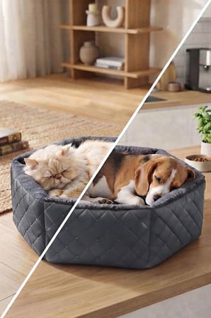 Hexagon Kedi ve Köpek Yatağı