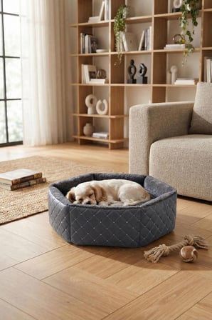 Hexagon Kedi ve Köpek Yatağı