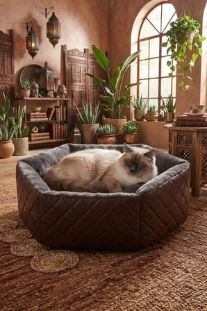 Hexagon Kedi ve Köpek Yatağı