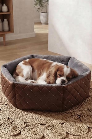Hexagon Kedi ve Köpek Yatağı