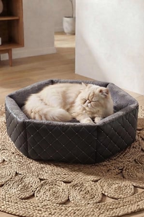 Hexagon Kedi ve Köpek Yatağı