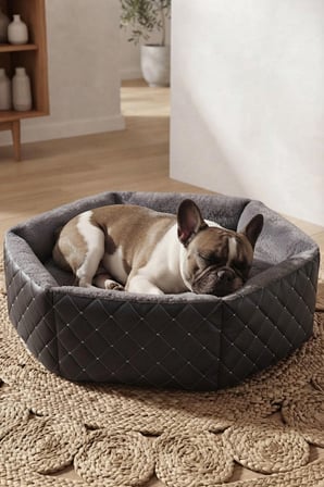 Hexagon Kedi ve Köpek Yatağı