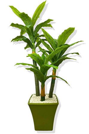 DRACAENA FRAGRANS KOYU RENK 3 GÖVDE YAPAY AĞAÇ 170 CM YEŞİL KARE SAKSI