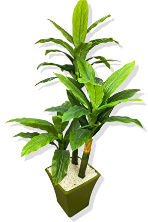 DRACAENA FRAGRANS KOYU RENK 3 GÖVDE YAPAY AĞAÇ 170 CM YEŞİL KARE SAKSI