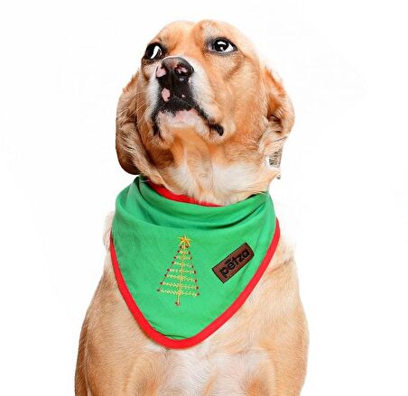 Köpek Bandana / Abena