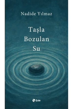 Taşla Bozulan Su