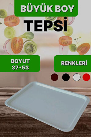 2 Lİ BÜYÜK BOY PLASTİK TEPSİ (53X37)