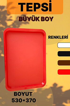 2 Lİ BÜYÜK BOY PLASTİK TEPSİ (53X37)