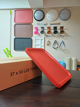 2 Lİ BÜYÜK BOY PLASTİK TEPSİ (53X37)