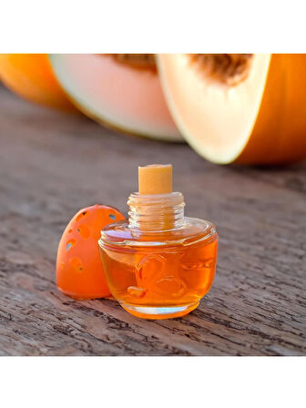 Halidi Kavanoz Koku Kavun Aromalı 100ml 2 Adet