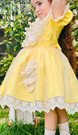 Sarı Ayıcıklı Kız Bebek Elbisesi,Doğum günü elbisesi, fotoğraf çekim elbisesi,0-12 Yaşa Uygun