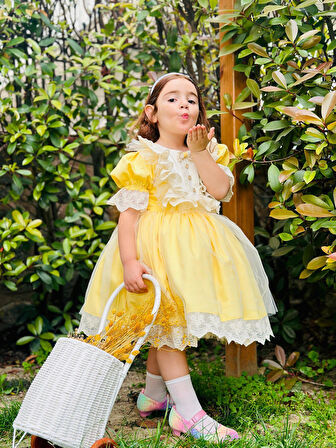 Sarı Ayıcıklı Kız Bebek Elbisesi,Doğum günü elbisesi, fotoğraf çekim elbisesi,0-12 Yaşa Uygun