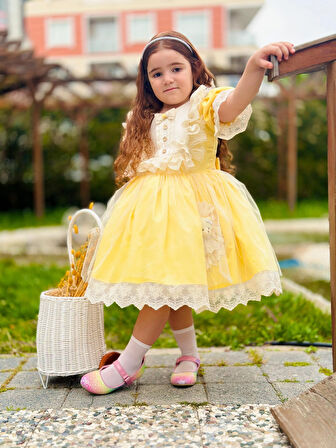 Sarı Ayıcıklı Kız Bebek Elbisesi,Doğum günü elbisesi, fotoğraf çekim elbisesi,0-12 Yaşa Uygun