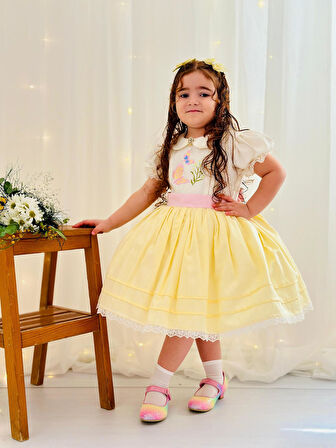 Sarı Kız Bebek Elbisesi,Doğum günü elbisesi, fotoğraf çekim elbisesi,0-12 Yaşa Uygun