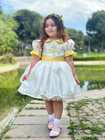 Sarı Papatya Vintage Kız Bebek Elbise,Doğum günü elbise,fotoğraf çekim elbise,0-12 Yaş Uygun