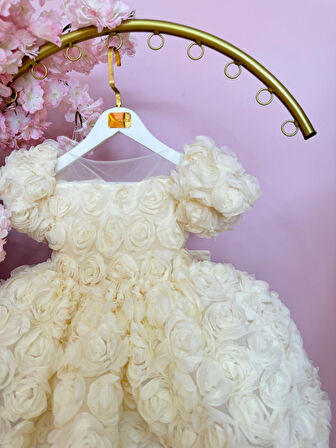 Diana Krem Güllü Kız Bebek Elbisesi,Özel Dikim Çocuk Elbisesi, Doğum günü elbisesi, 0-12 Yaş