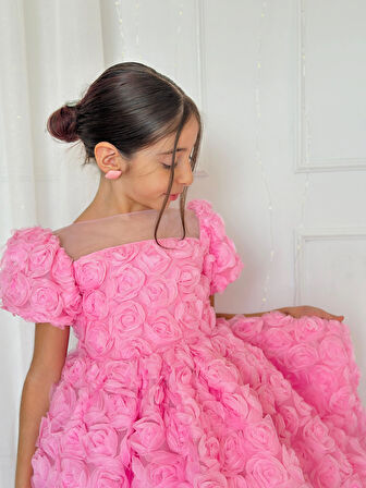 Pembe Güllü Diana Vintage Kız Bebek Elbise,Doğum günü elbise,fotoğraf çekim elbise,0-12 Yaş Uygun