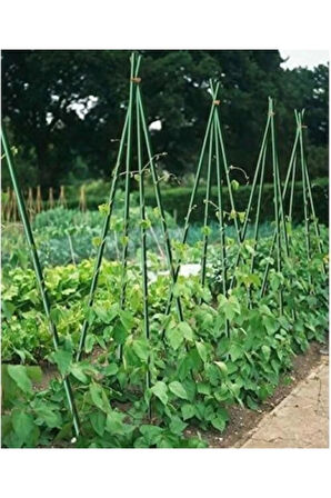Botanika 53703 Bitki Destek Çubuğu 75 cm ( 10 Adet )