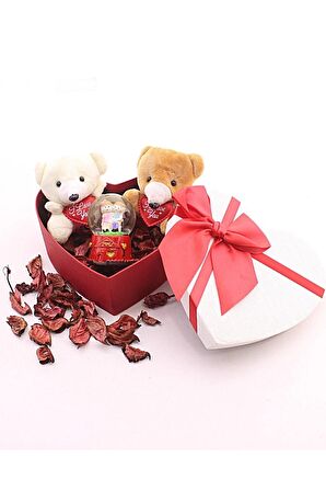 Dekoratif Sevgiliye Eşe Sürpriz Hediye Seviliye Mini Ayıcıklar Ve Sevgililer Kar Küresi Set