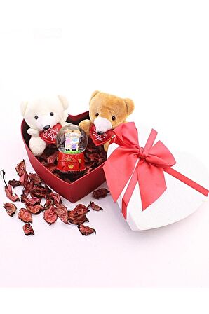 Dekoratif Sevgiliye Eşe Sürpriz Hediye Seviliye Mini Ayıcıklar Ve Sevgililer Kar Küresi Set