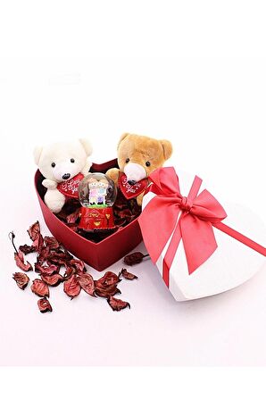 Dekoratif Sevgiliye Eşe Sürpriz Hediye Seviliye Mini Ayıcıklar Ve Sevgililer Kar Küresi Set