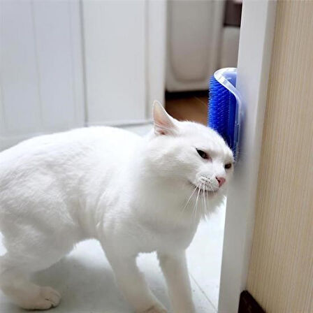  Pratik Kedi Tüyü Kaşıma Ve Tarama Aparatı Duvara Monte Kaşıma Aleti