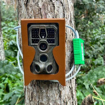 GardePro Fotokapan Çelik Bağlantı Kablosu