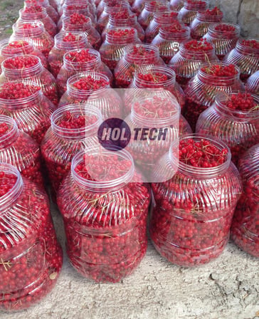 Gilaburu Meyvesi 2,5 kg Taze Yeni Mahsül ( Girabulu,Girebolu,Girebulu)