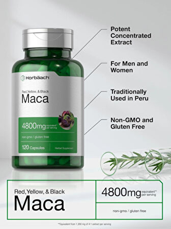 Horbäach Maca Root Matcha 4800mg | 120 Capsules