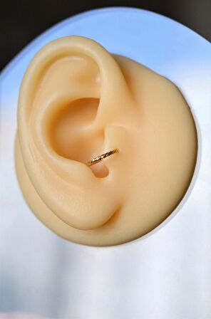Gold Renk Burgu Kıvrımlı Çelik Halka Tragus Piercing Helix Kıkırdak Lob