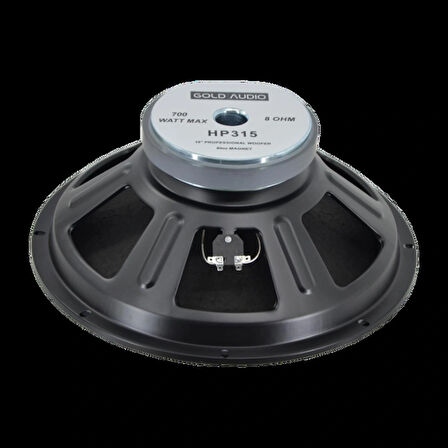 Gold Audio - HP 315 15" Hoparlör 