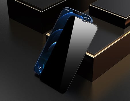 Apple iPhone 11 Pro Max Hayalet Ekran Koruyucu 9D Kırılmaz Cam Gizlilik Korumalı Extra Darbe Koruma Ekranı Tam Kaplar