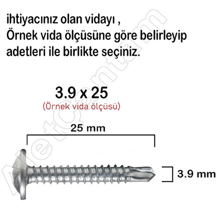 Rysb Apex Akıllı Matkap Uçlu Vidası Pul Başlı Vida  3.9 x 25 MM 100 Adet