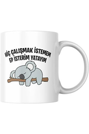 Sevgileye-Arkadaşa Özel Espirili Hediyelik|Kişiselleştirilebilir Komik Hediye Kupa Bardak